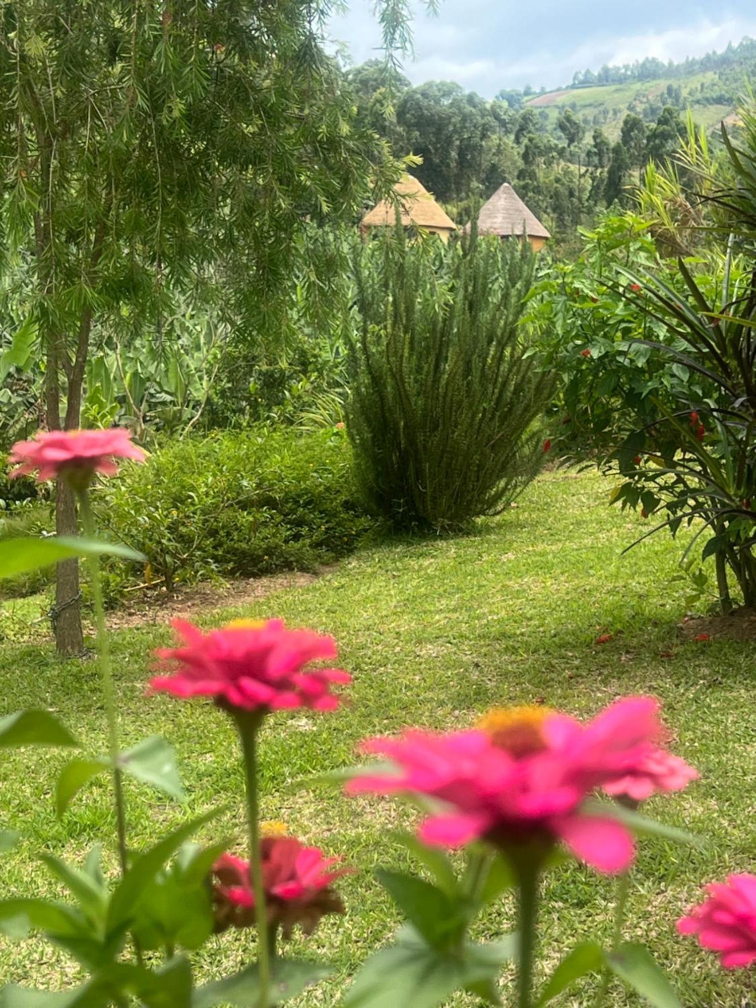 Nyore Hillside Retreat Mbarara Exterior foto