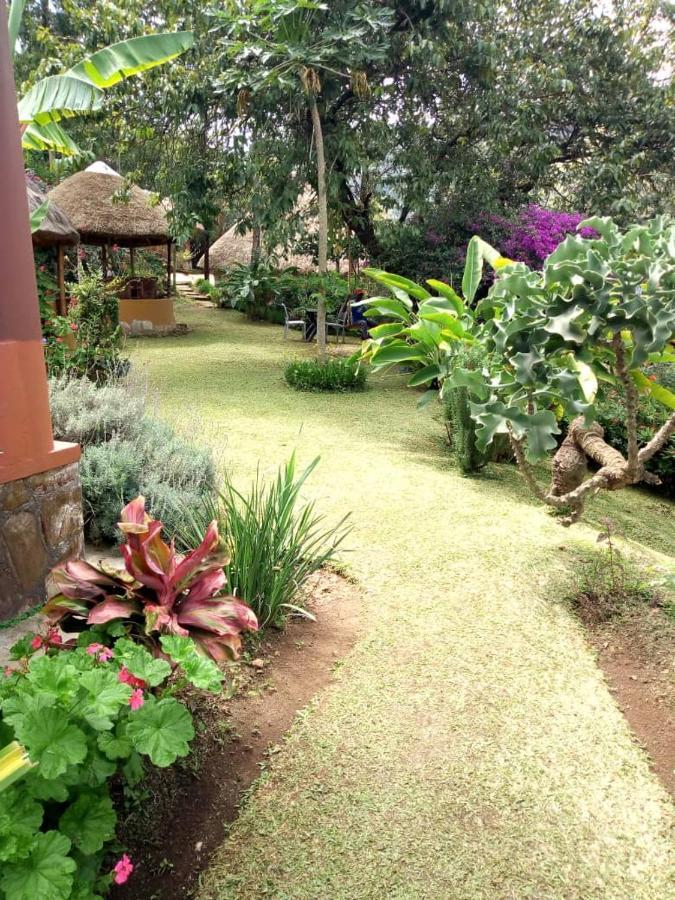 Nyore Hillside Retreat Mbarara Exterior foto